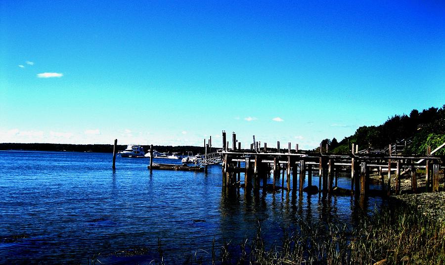 Nature Photograph - Old Dock by Will Boutin Photos