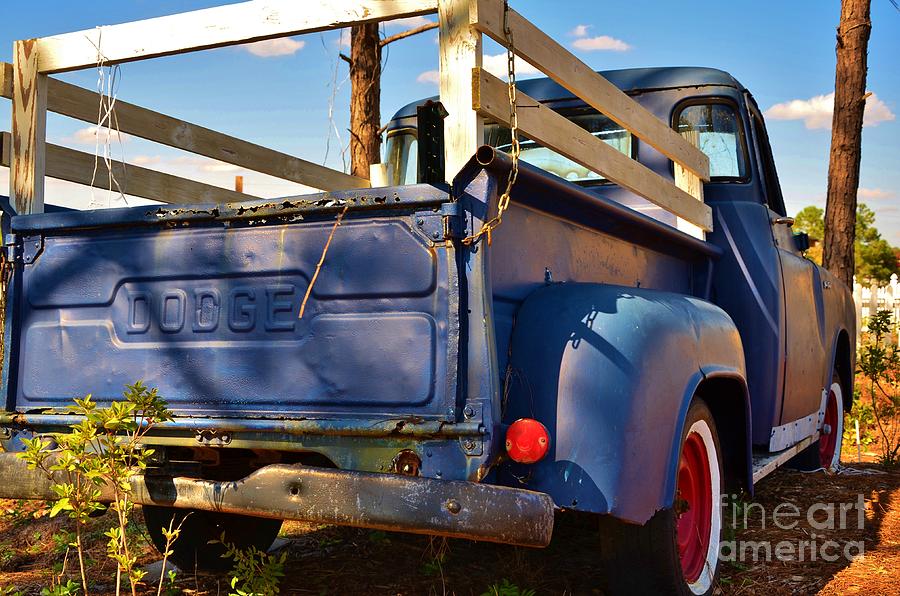 Old Dodge Pick Up Photograph by Bob Sample