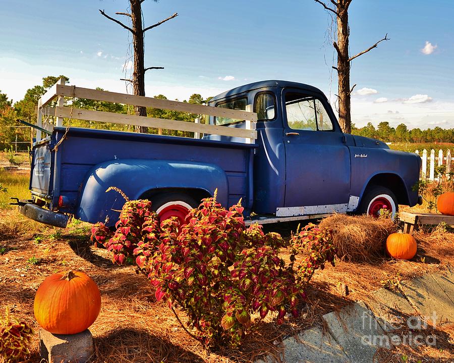 Old Dodge Truck Photograph by Bob Sample