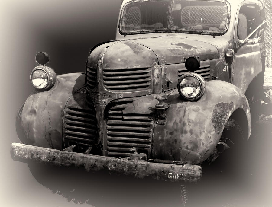 Old Dodge Truck Photograph by Cathy Anderson