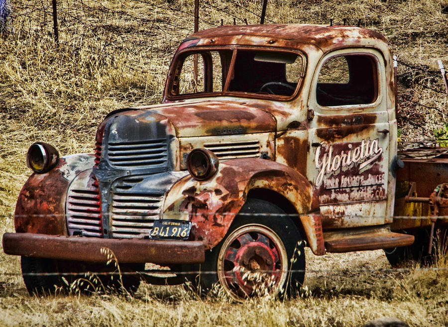 Old Dodge Truck Photograph by Ron Roberts
