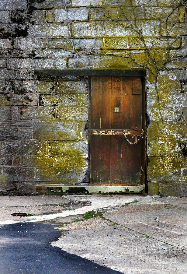 Old Door Photograph by Jill Battaglia