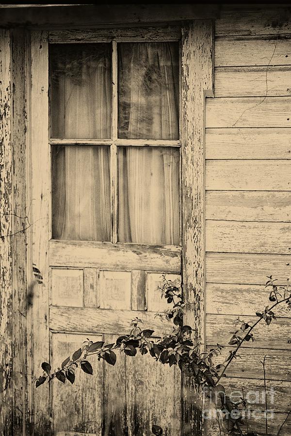 Old Door and Siding Antique Ivory Photograph by John Harmon