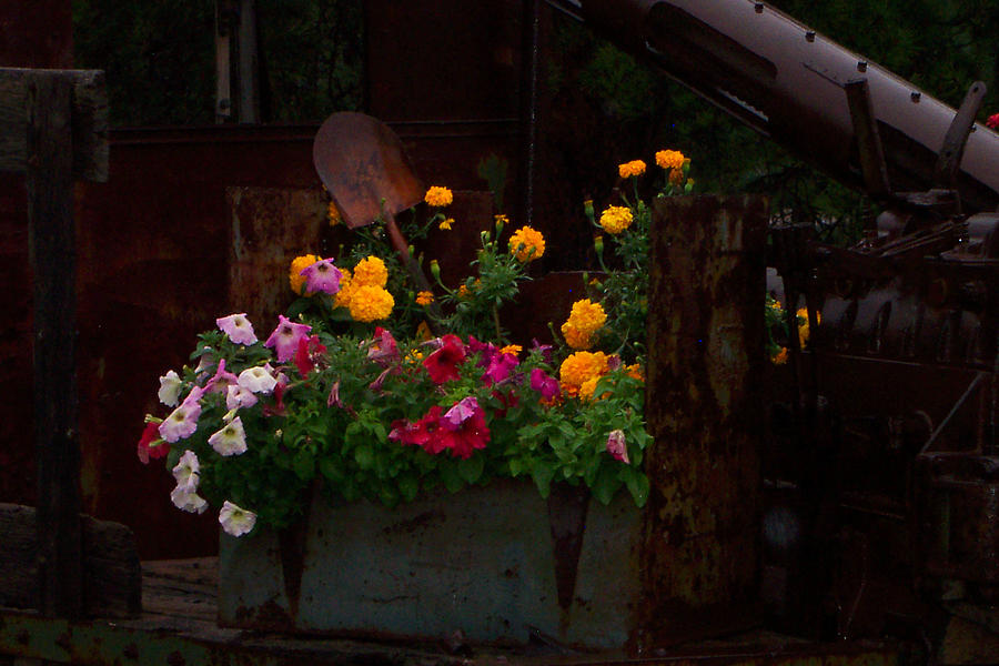 Old Drill Truck with Flowers Photograph by Lanita Williams