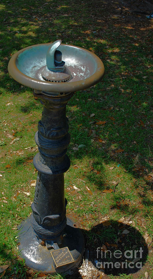 Old Drinking Fountain Photograph by Bob Sample