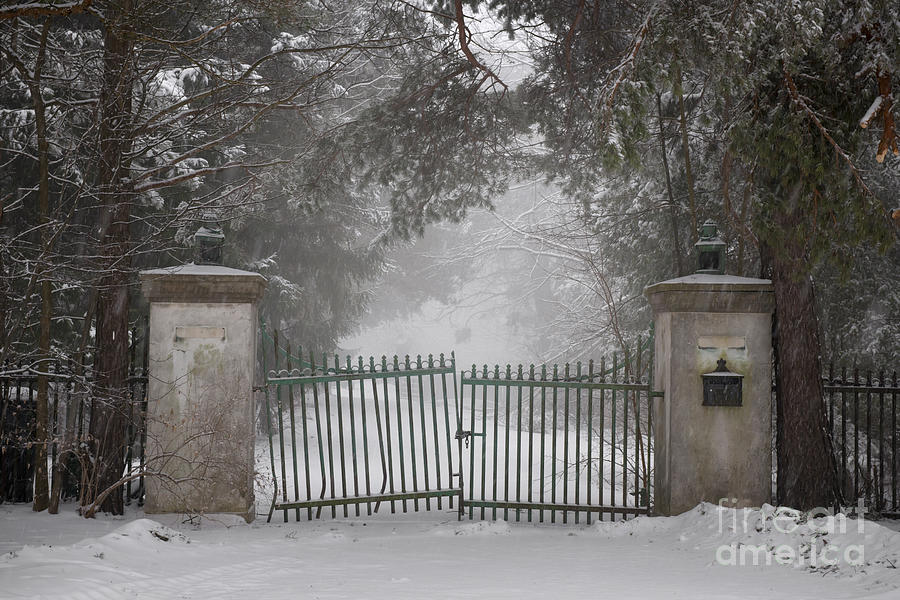 Old driveway gate in winter 1 Photograph by Elena Elisseeva