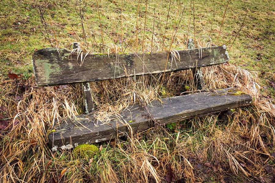 Old empty overgrown wooden bench Photograph by Matthias Hauser