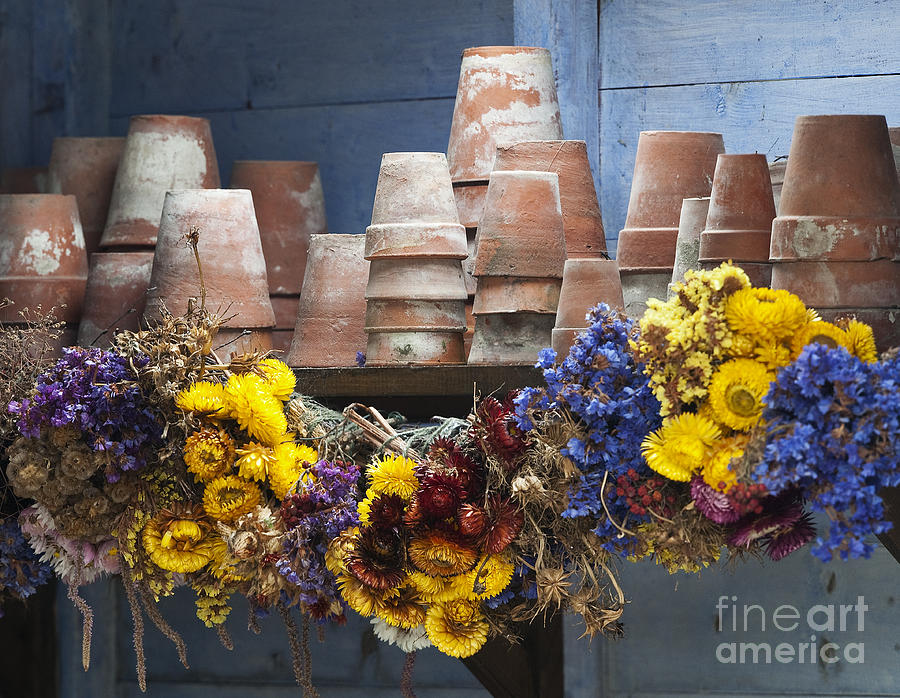 Flowers Still Life Photograph - Old English Victorian Potting Shed by Tim Gainey