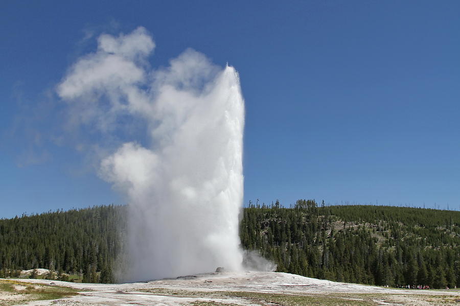 Old Faithful Photograph by David Byron Keener - Fine Art America