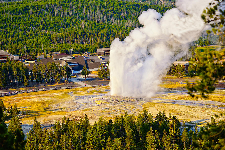 Old Faithful from Observation Point Photograph by Greg Norrell