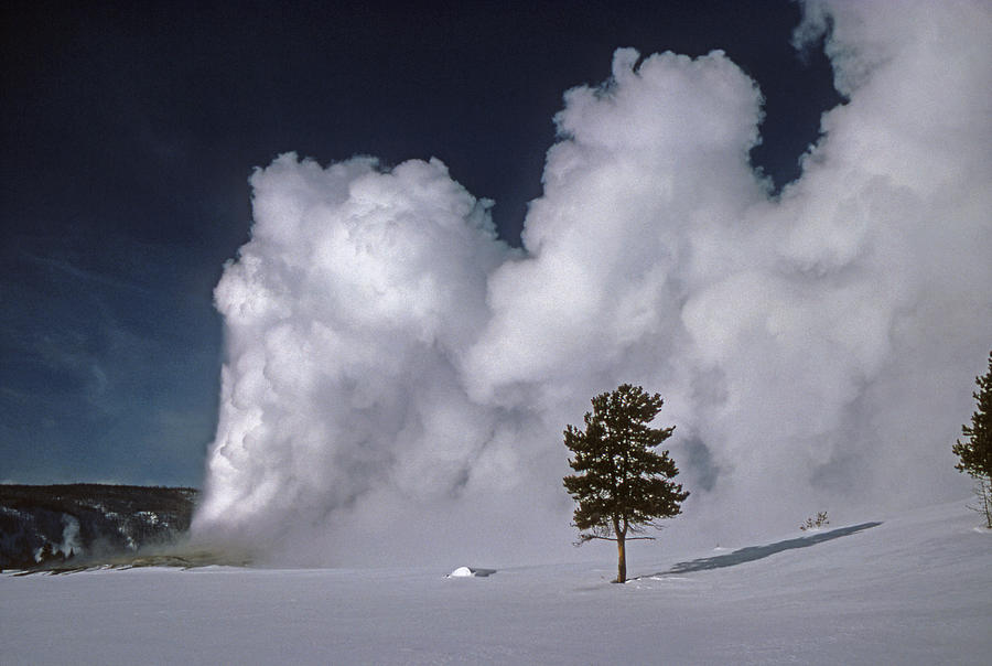 3M09137-02-Old Faithful Geyser 2 Photograph by Ed  Cooper Photography