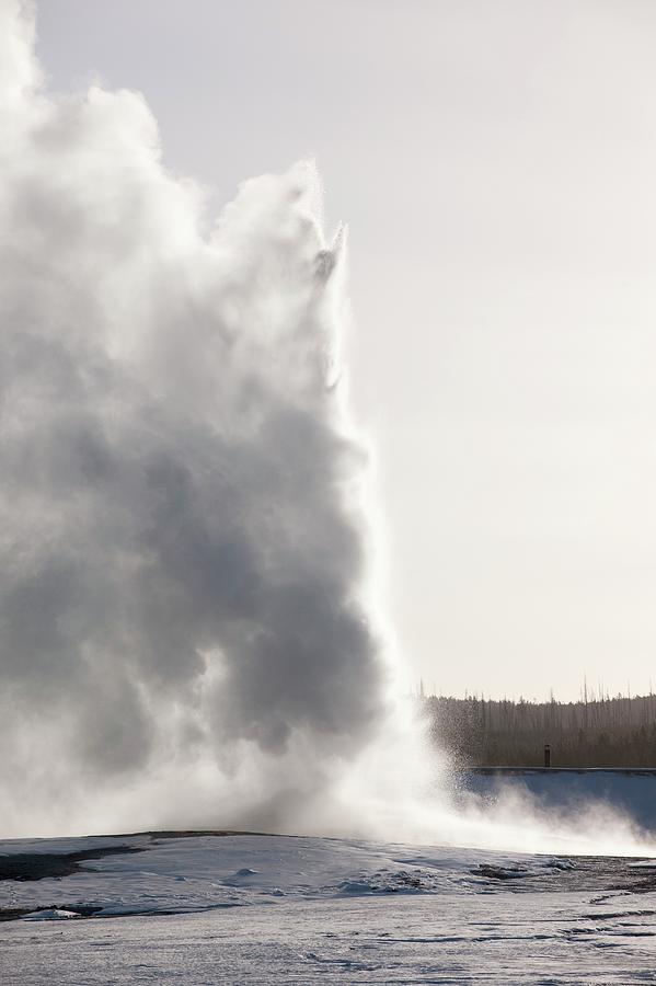 Old Faithful Geyser Erupting Photograph by Dr P. Marazzi/science Photo Library