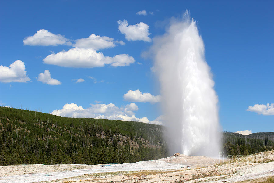 Old Faithful Geyser in Yellowstone National Park  Photograph by Adam Long