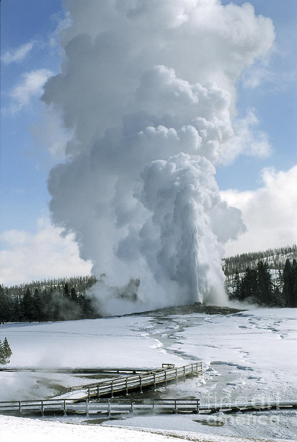 Old Faithful In Her Glory - Yellowstone Photograph by Sandra Bronstein
