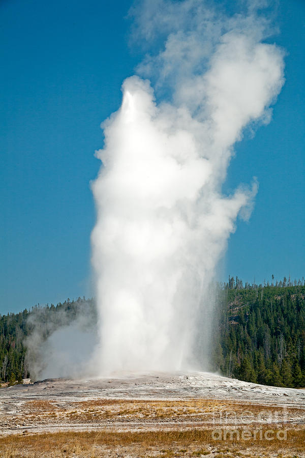 Old Faithful in Upper Geyser Basin in Yellowstone National Park Photograph by Fred Stearns