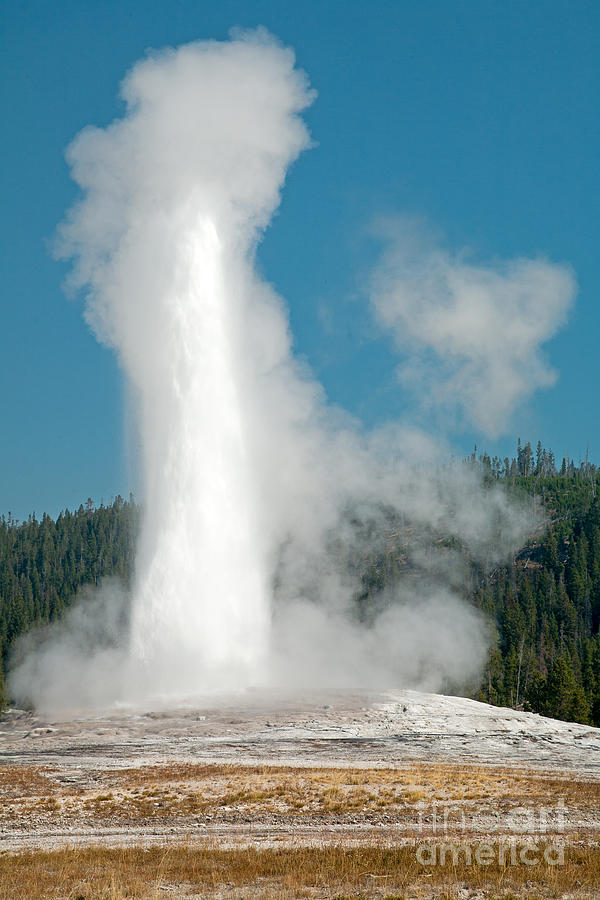 Old Faithful in Upper Geyser Basin inYellowstone National Park Photograph by Fred Stearns