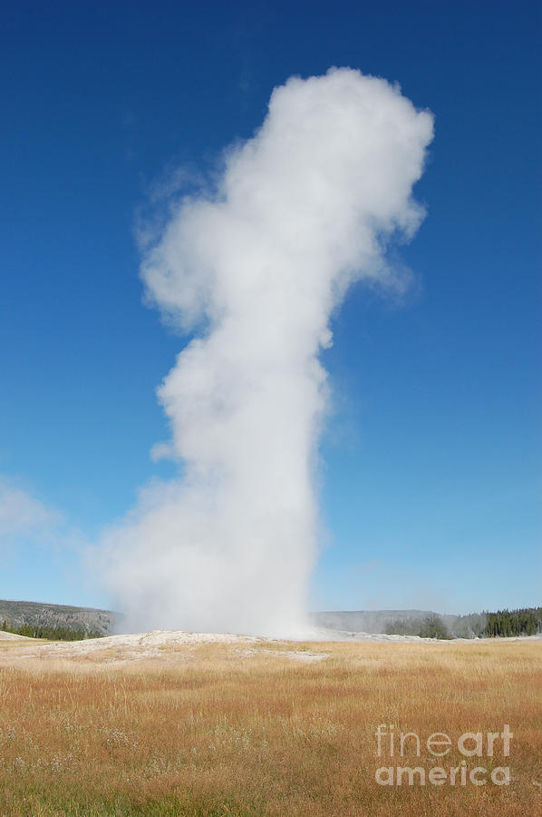 Yellowstone National Park Photograph - Old Faithful over grassy field by Susan Montgomery