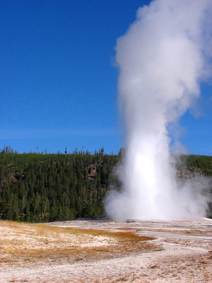 Old Faithful - Yellowstone Photograph by Joey Bergeron - Fine Art America