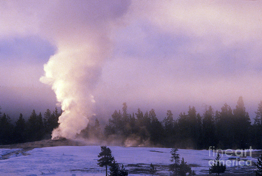 Old Faithful in Yellowstone  Photograph by Art Wolfe