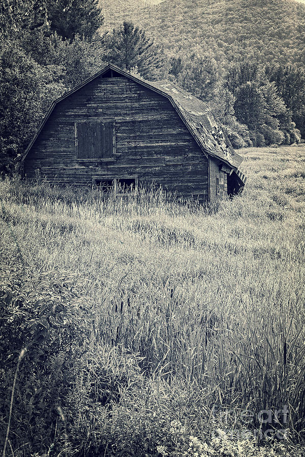 Old falling down barn blue Photograph by Edward Fielding