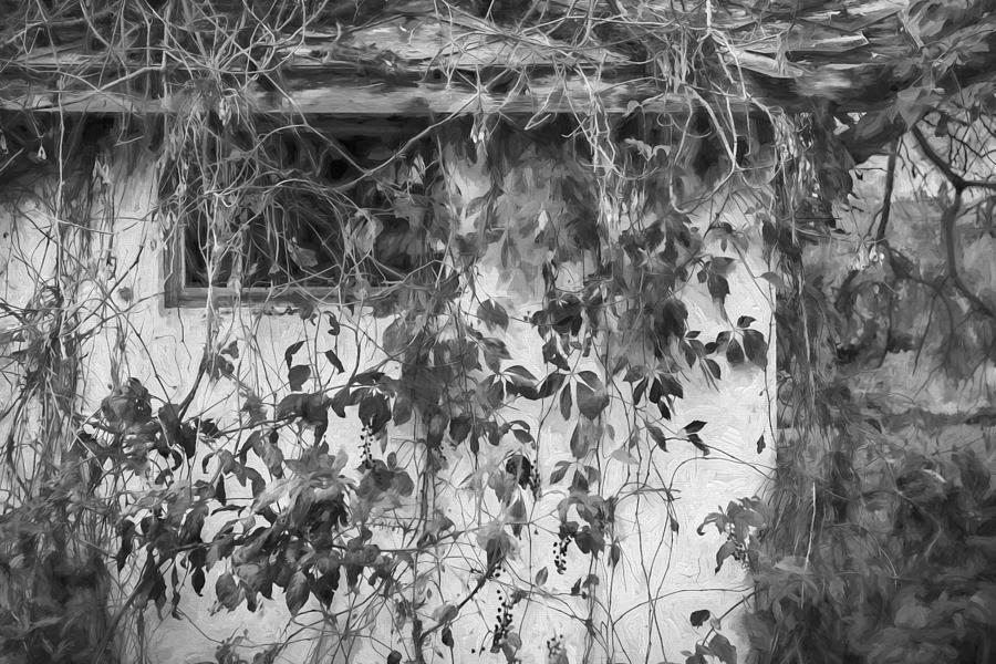 Tree Photograph - Old Farm Building Painted BW  by Rich Franco