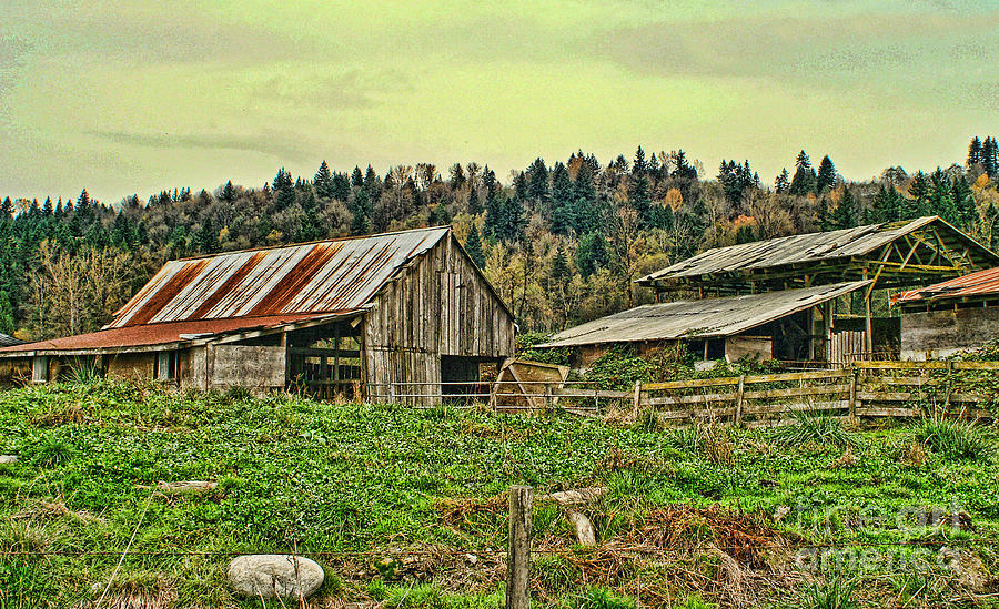 Nature Photograph - Old Farm by Dawn Harris