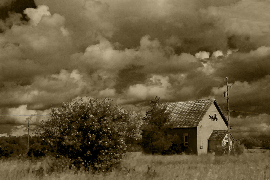 Old farm on Island Photograph by Daniel Martin