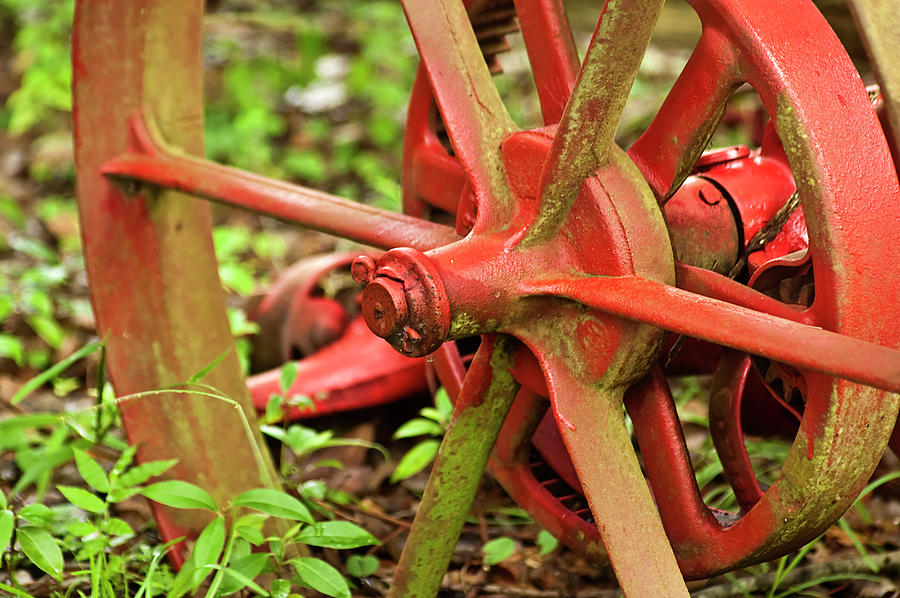 Old Farm Tractor Wheel Photograph by Carolyn Marshall