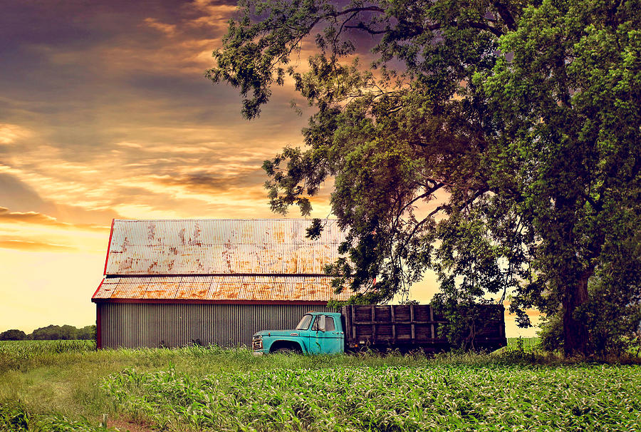 Old Farm Truck Photograph by Deon Grandon