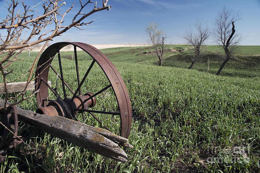 Old Farm Wagon Photograph by Art Whitton