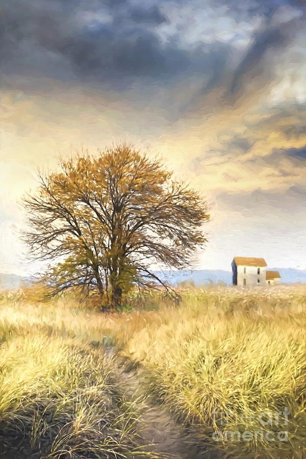 Old farmhouse in fields/ digital painting Photograph by Sandra Cunningham