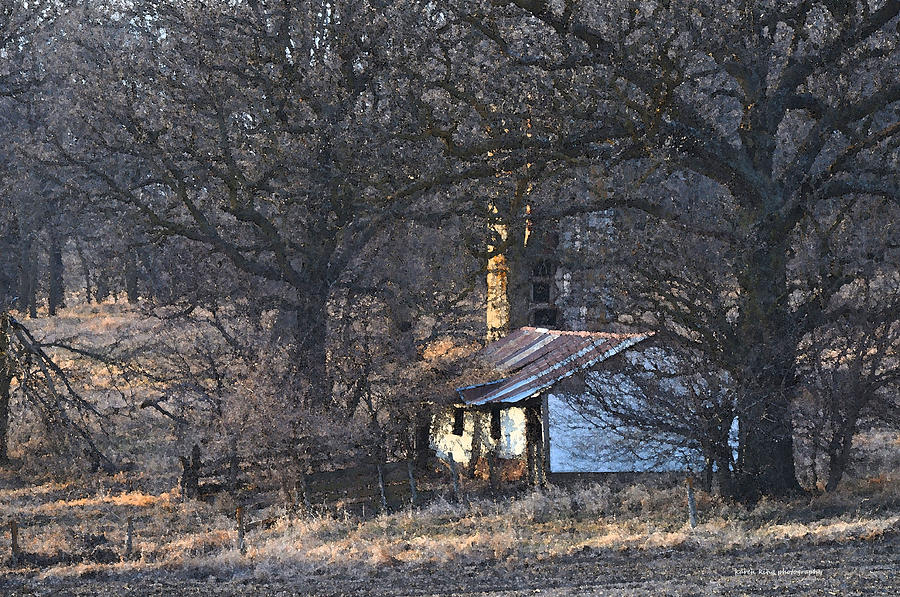 Old Farmstead Photograph