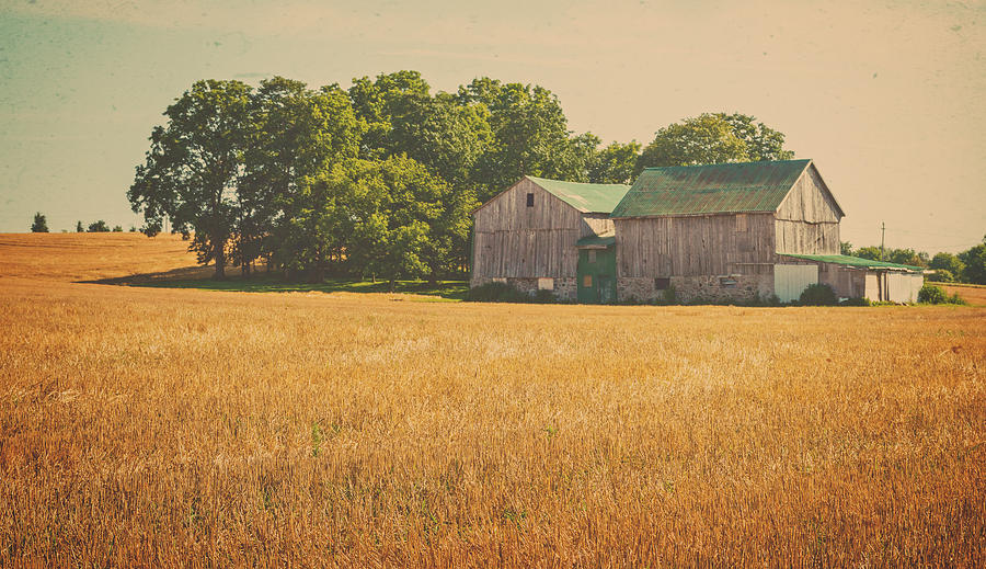 Barn Photograph - Old Farm Scene by Garvin Hunter
