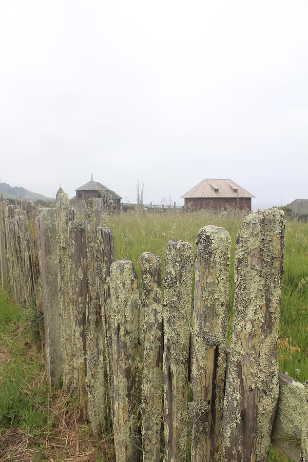 Old Fence Photograph by Elena Wells