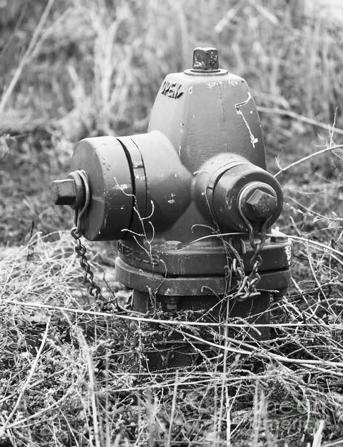 Fire Hydrant Photograph - Old Fire Hydrant by Jackie Farnsworth Fire Hydrant Photograph - Old Fire Hydrant by Jackie Farnsworth