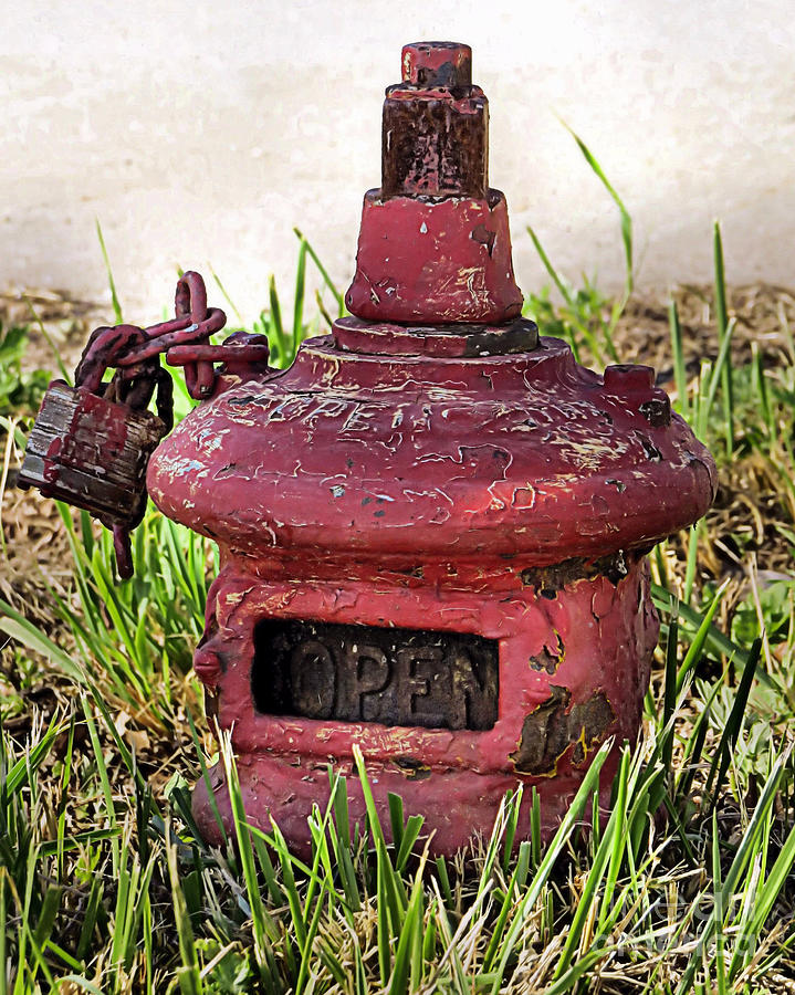 Old Fire Hydrant Photograph by Janice Drew