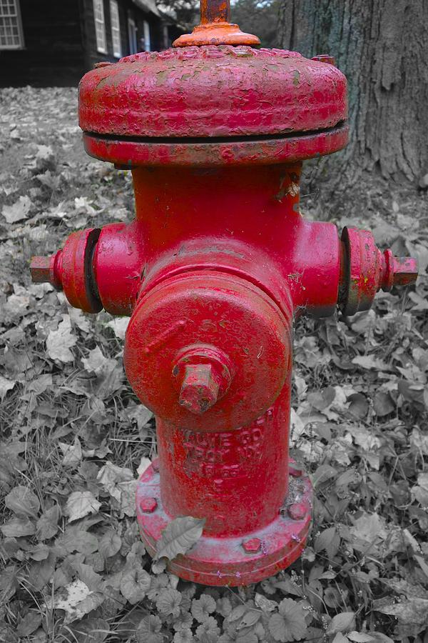 Old Fireplug Deerfield Conn. Photograph by Joan Reese