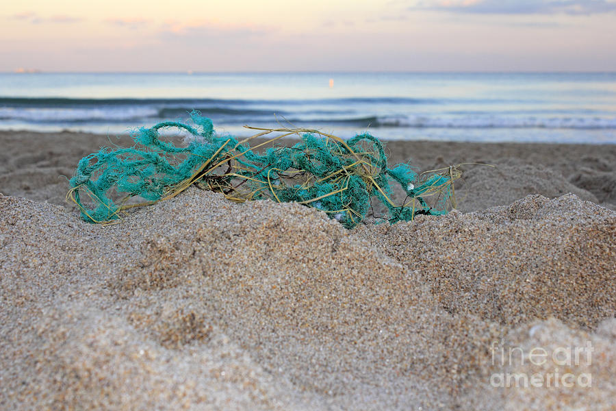 Old Fishing Net on Beach Photograph by Lee Serenethos - Pixels