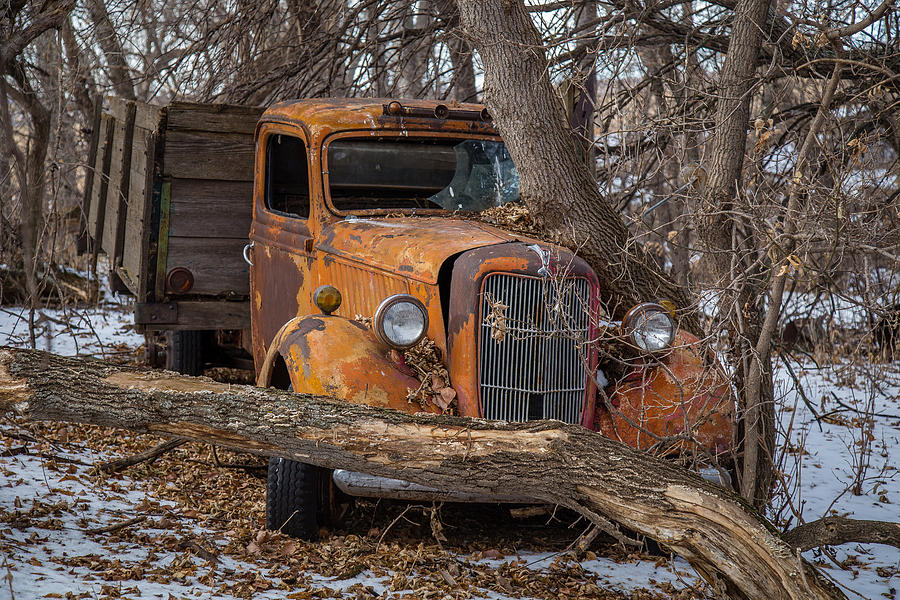 Old Ford Truck 1 Photograph by Chad Rowe