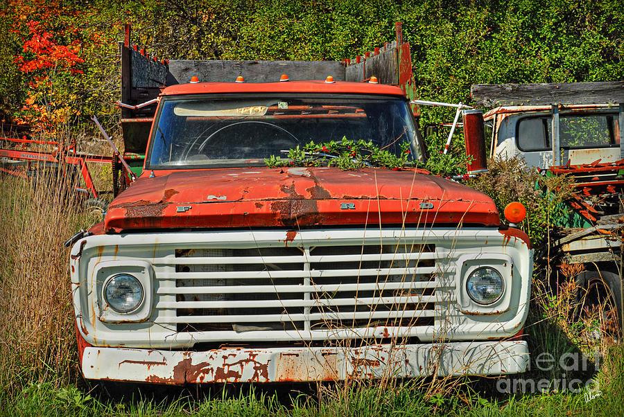 Old Ford Truck Photograph by Alana Ranney