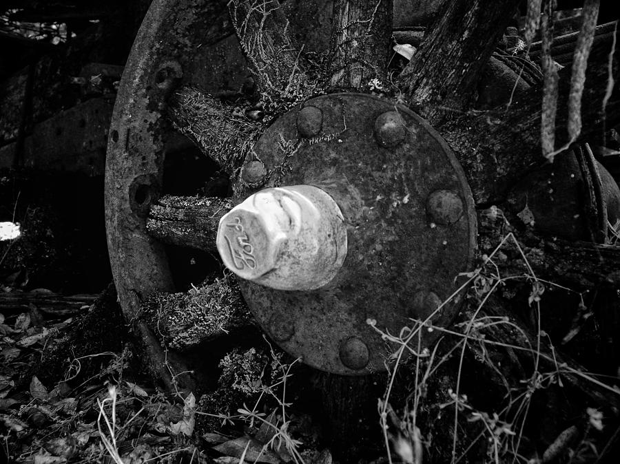 Old Ford Wheel Photograph by Betty Depee