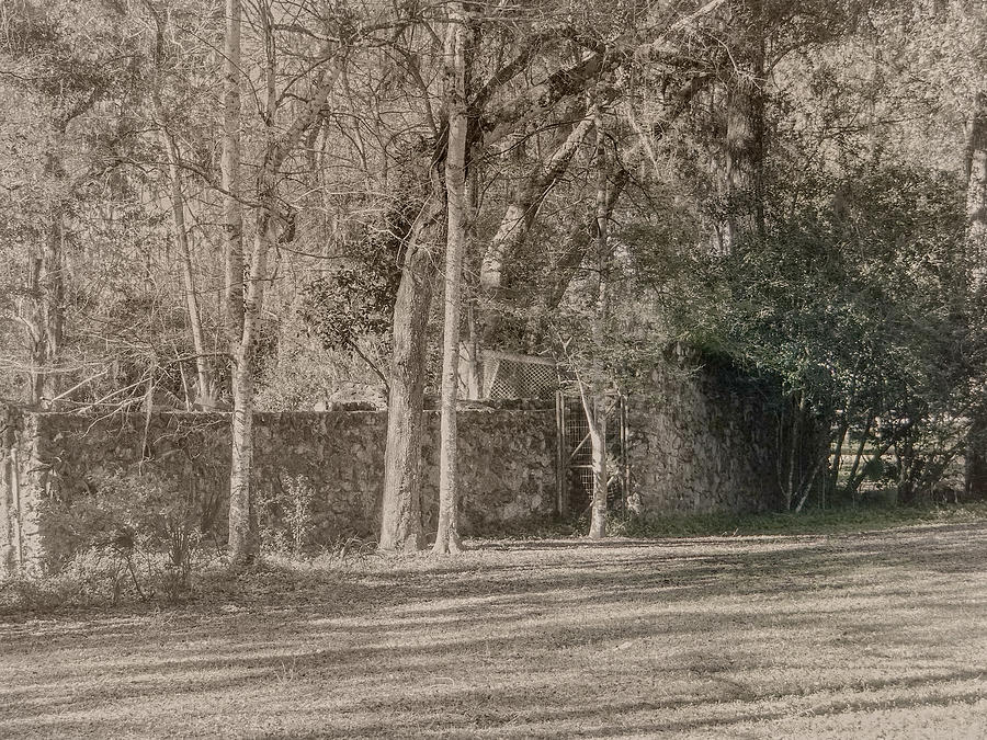 Old Fort Photograph by Dennis Dugan