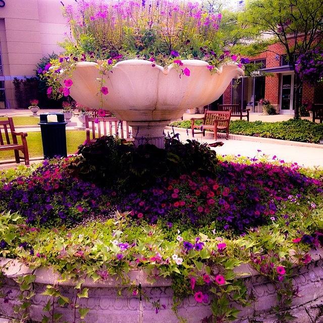 Pittsburgh Photograph - Old Fountain. #flowers #fountain by Candace  Rowlands 