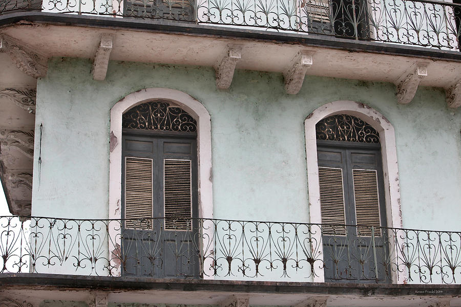 Old French Doors Photograph By Renee Friedel