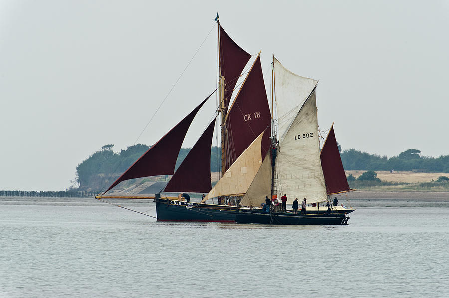 Old gaffers off Brightlingsea Photograph by Gary Eason