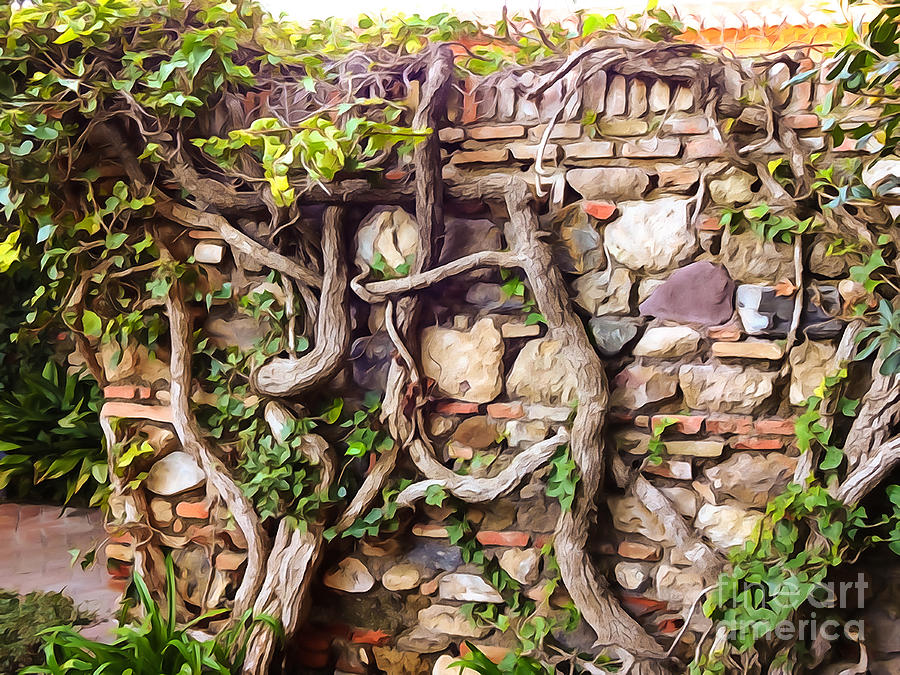 Roots Photograph - Old Garden Wall by Lutz Baar