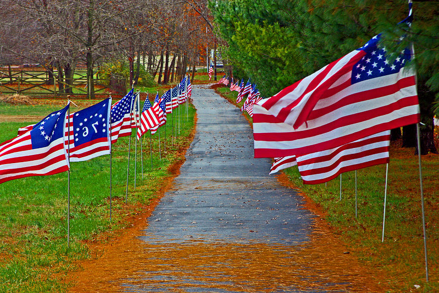 Old Glory Photograph by Andy Lawless