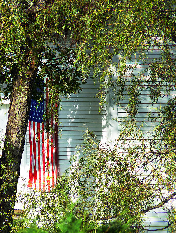 Old Glory Photograph by Carl Sheffer