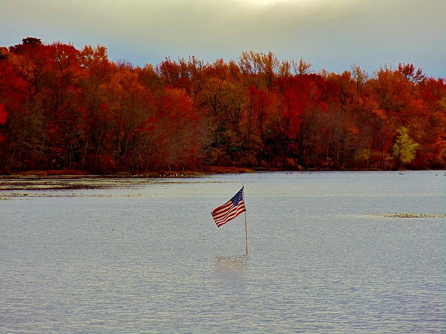 Old Glory in the Fall Photograph by Ed Sweeney