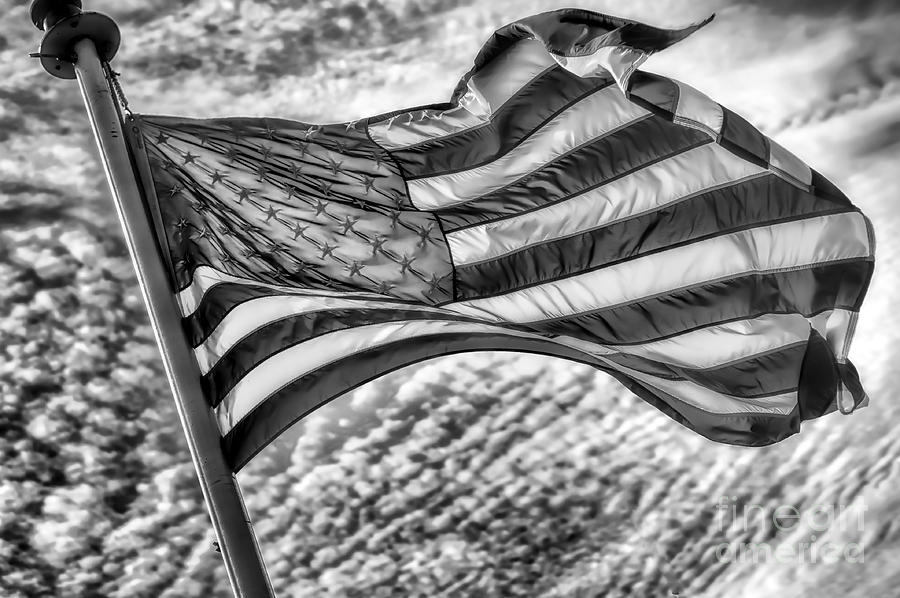 Old Glory Photograph by Jack Torcello